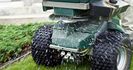 Lawn Fertilization & Weed Control