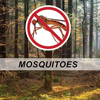 Insect control - mosquito