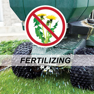 Fertilizing