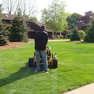 Lawn Mowing