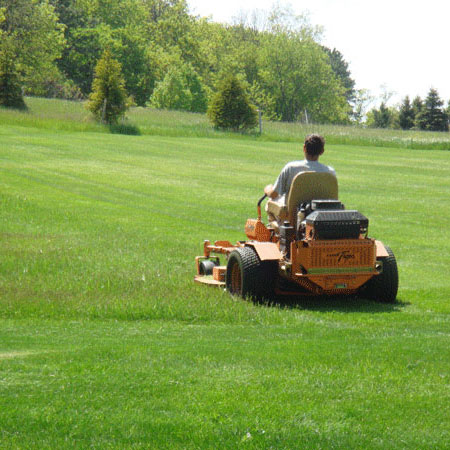 Lawn maintenance